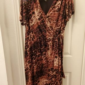 Print short sleeve dress.  Lane Bryant 14/16
